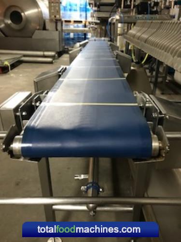 Indexing Ready Meals Conveyor 