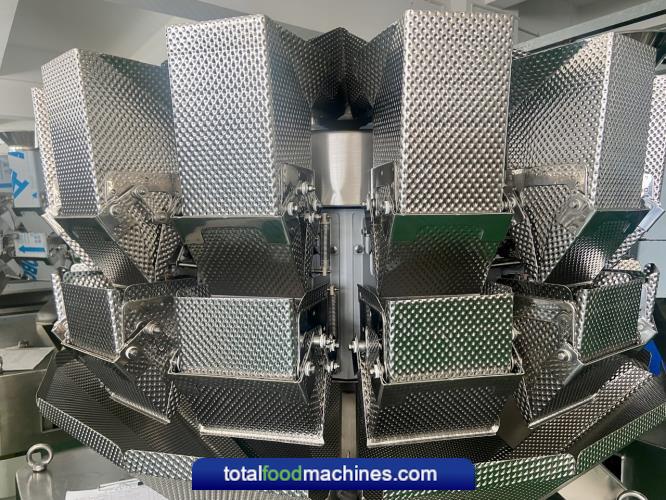 Multihead Weigher for Frozen Products 