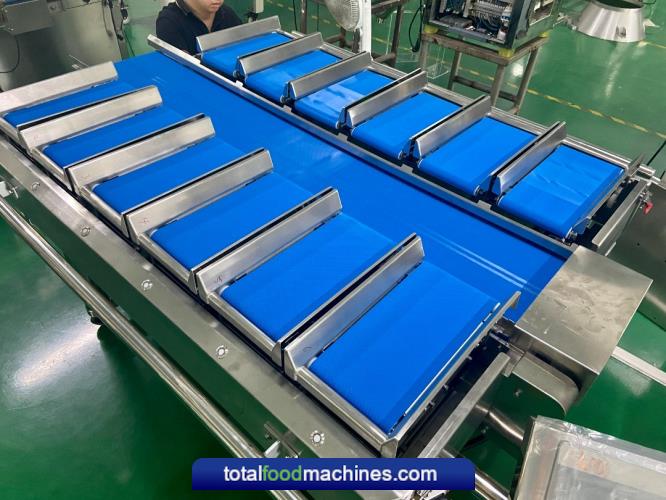 Semi Automatic Linear Weigher 