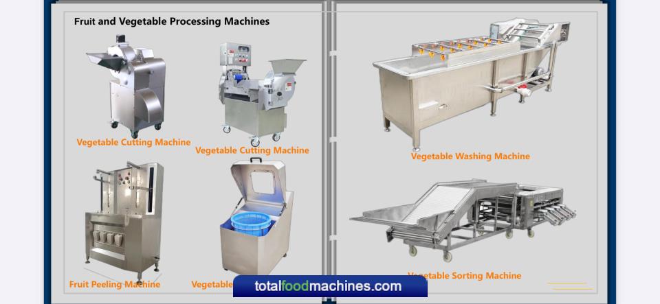 Fruit Vegetable Processing Equipment