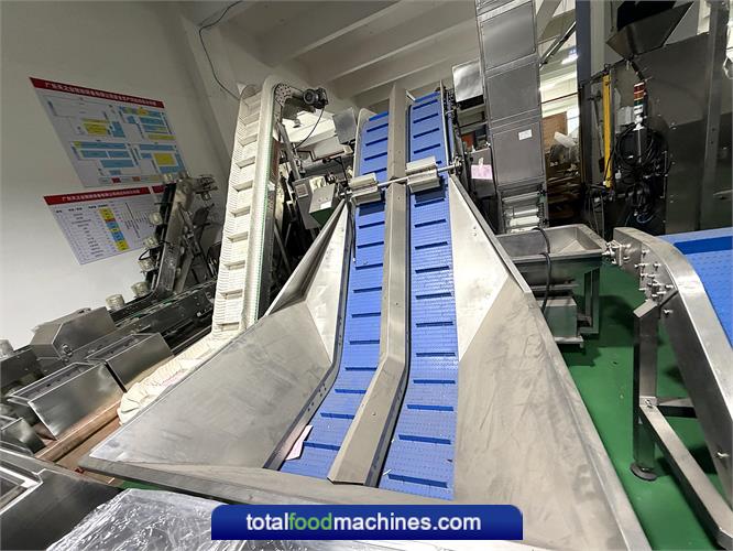 Incline Conveyors